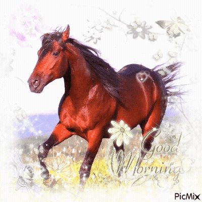 Horse Saying Good Morning GIF