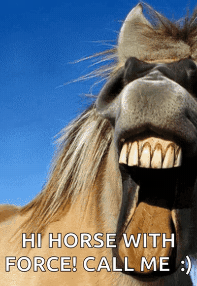 Horse Saying Hi With Force Call Me GIF