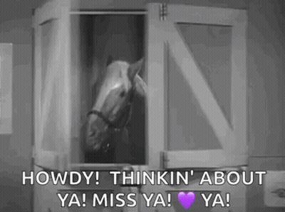 Horse Saying Howdy Miss You GIF