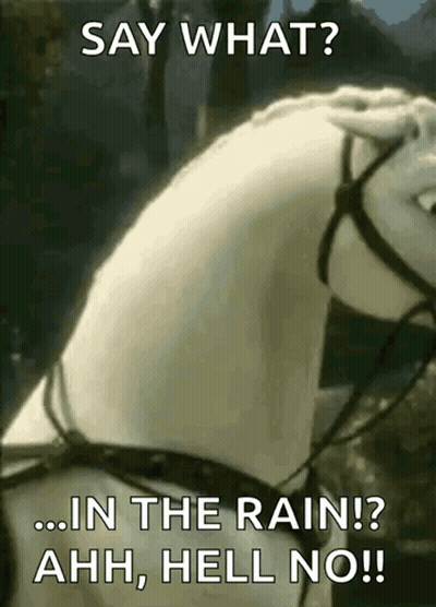 Horse Saying Say What Rain Ahh Hell No GIF