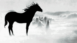 Horse Silhouette Animation