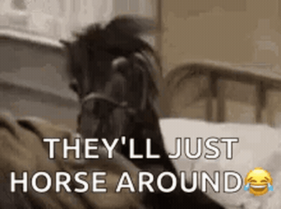 Horse Sitting On Bed With Horse Around GIF