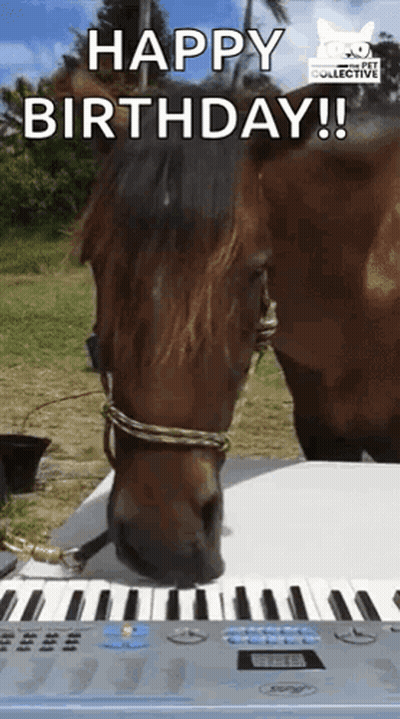 Horse Standing Next To Piano Keyboard Saying Happy Birthday GIF