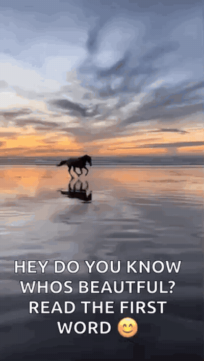 Horse Standing On Top Of Boat In Ocean GIF