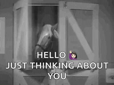 Horse Sticking Head Out Of Barn GIF