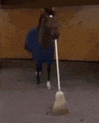 Horse Sweeping