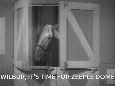 Horse Wilbur Time For Zeeple Dome GIF
