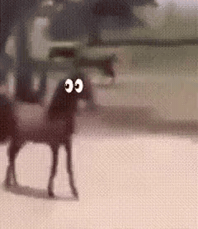 Horse With Big Eyes Walking On Dirt Field GIF