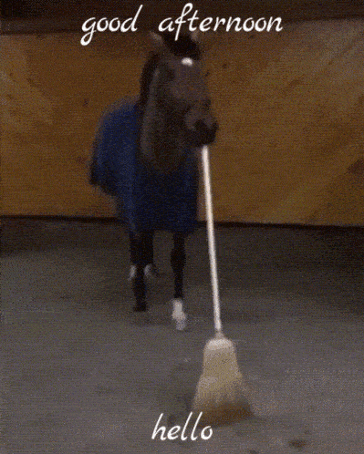 Horse With Broom Saying Good Afternoon GIF