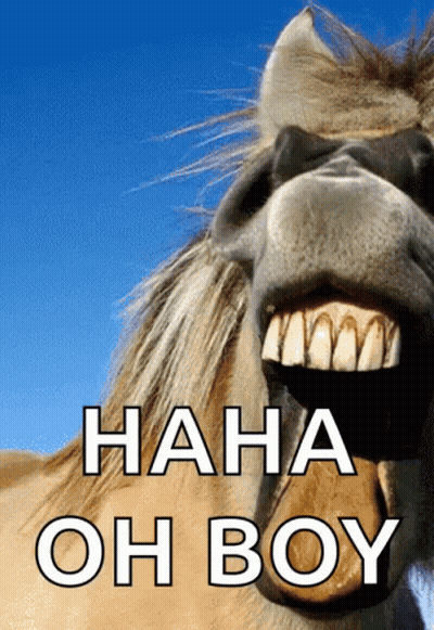 Horse With Mouth Open Saying Haha Oh Boy GIF