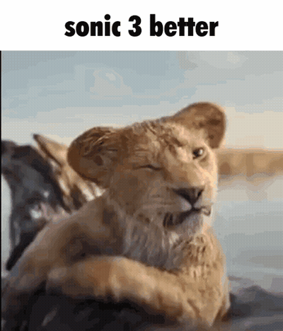Horse With Words Panama Wes GIF
