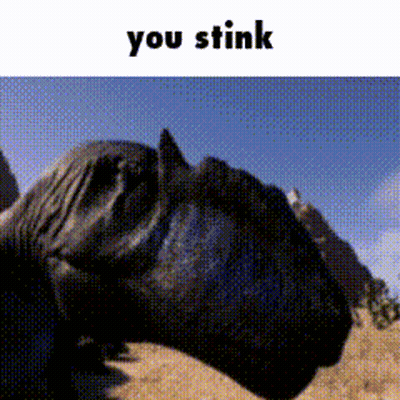 Horse With You Stink Text GIF