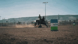 Horseback Riding Coming In Hot GIF