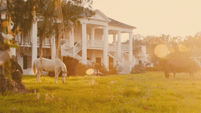 Horses Grazing In Front Of A Large White House With Stairs GIF