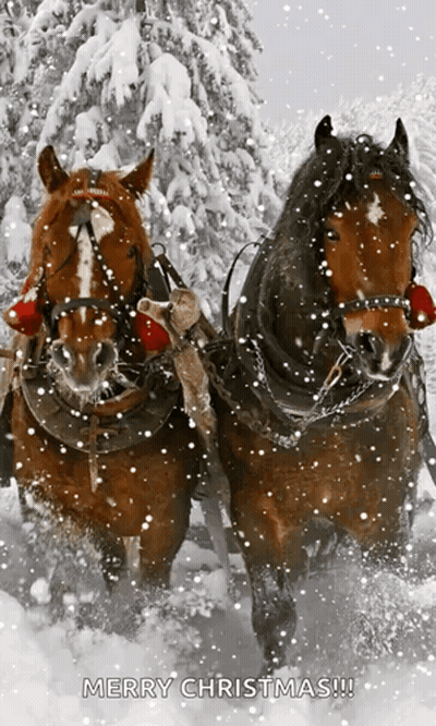 Horses Pulling Sleigh In Snow Merry Christmas GIF