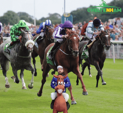 Horses Racing on Chiltern Track