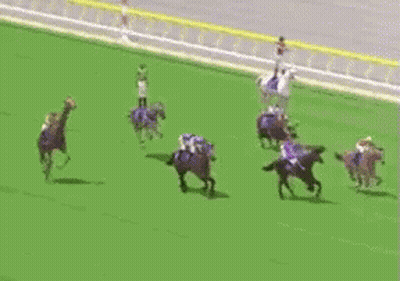 Horses Racing On Grass Field GIF