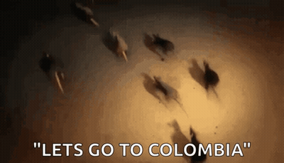 Horses Running In A Circle Saying Lets Go To Colombia GIF