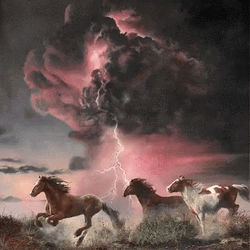 Horses Scared In The Perfect Storm  GIF