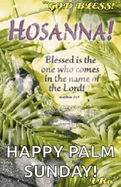 Hosanna ! Blessed Is The One Who Comes In The Name Of The Lord . Happy Palm Sunday ! GIF