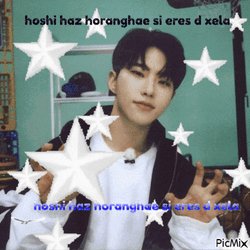 Hoshi Svt GIF