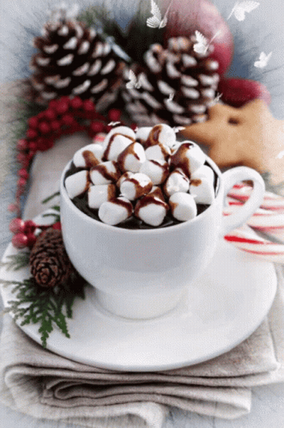 Hot Chocolate With Marshmallows And Chocolate Syrup GIF