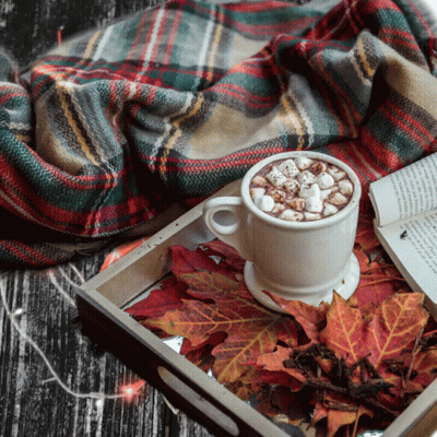 Hot Chocolate With Marshmallows On Tray GIF
