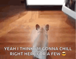 Hot Day Chilling GIF