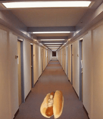Hot Dog In Middle Of Long Hallway GIF