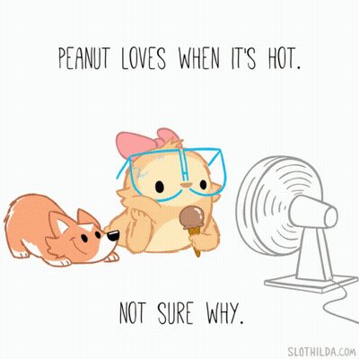 Hot Fan GIF