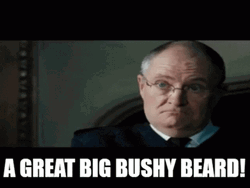 Hot Fuzz A Great Big Bushy Beard GIF