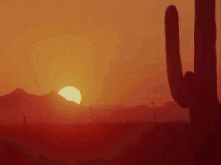 Hot Like A Desert GIF