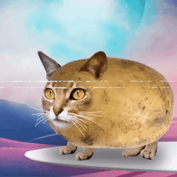 Hot Potato With Cat Face GIF