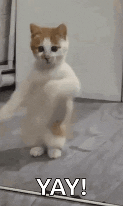 Hottie Dancing GIF