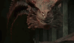 House Of The Dragon Caraxes GIF