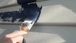 House Painting Funny Costume GIF 