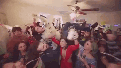 House Party Crowd Surfing GIF