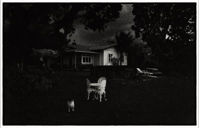 House Saying Kame House GIF