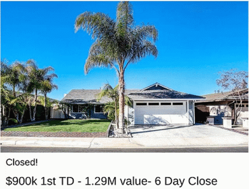 House With Palm Tree GIF