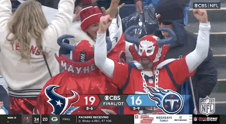 Houston Texans Fans Celebrating GIF