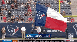Houston Texans Football Team Flag GIF