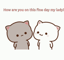How Are You Peach & Goma Cat Kiss GIF