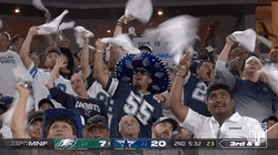 How Bout Them Cowboys Fans GIF