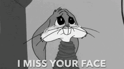How Could I Not Miss You Bunny GIF