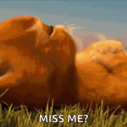 How Could I Not Miss You GIF