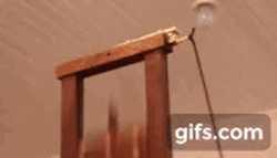 How Guillotine Works GIF