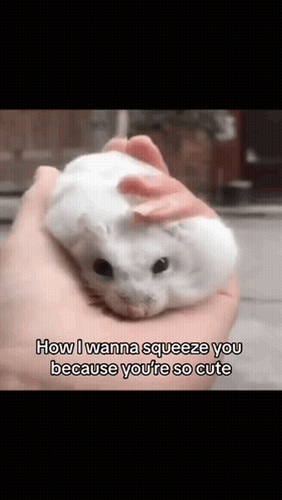 How I Wanna Squeeze You Cute GIF