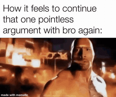 How It Feels to Continue That Pointless Argument With Bro Again Meme