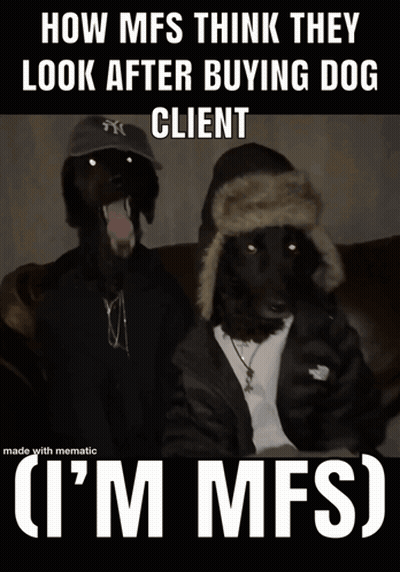 How Mfs Think After Buying Dog Client GIF