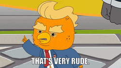 How Rude Donald Trump As Human Chicken GIF